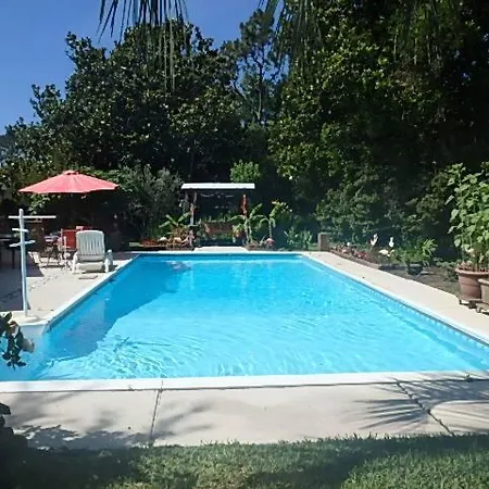 Poolside Paradise-3